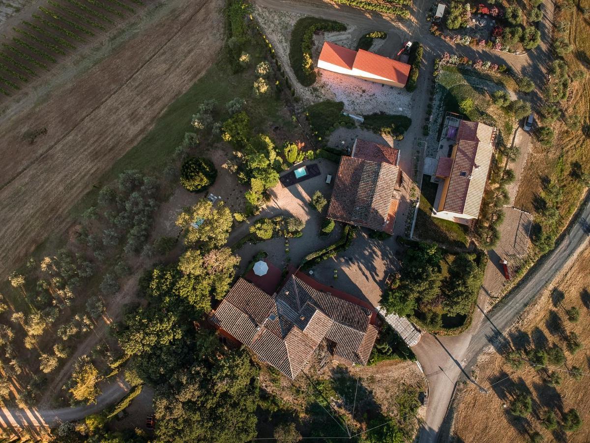 Il Leccio - Casa Toscana Il Fienile Gambassi Terme Kültér fotó